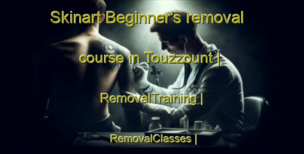 Skinart Beginner's removal course in Touzzount | RemovalTraining | RemovalClasses | SkinartTraining-Morocco